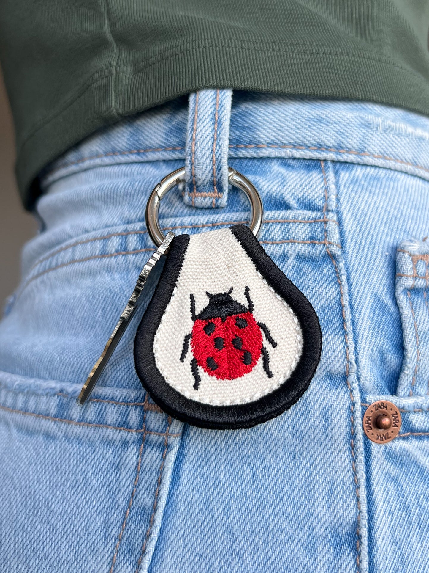 Ladybug Accessory