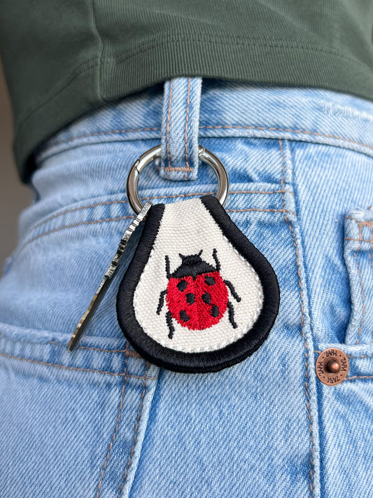 Ladybug Accessory